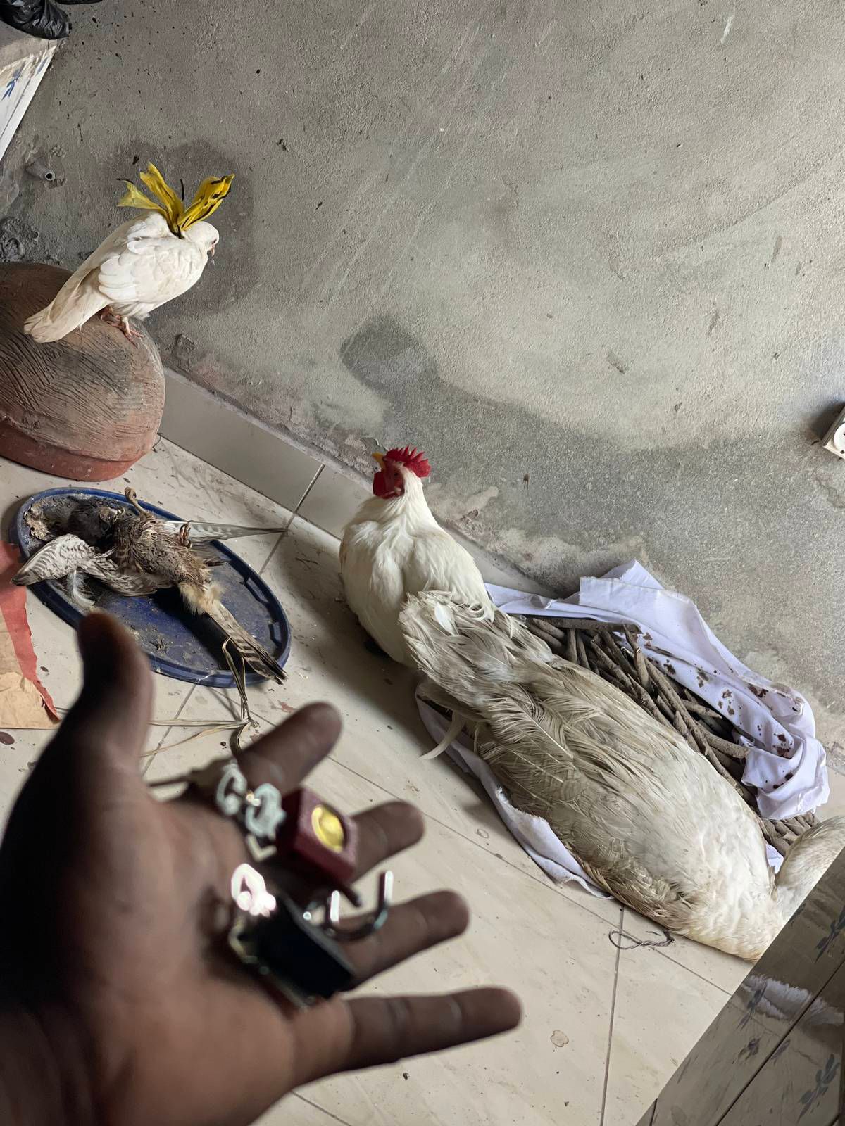 Comment Assurer la Fidélité Absolue de Sa Femme : Puissants Rituels Africains