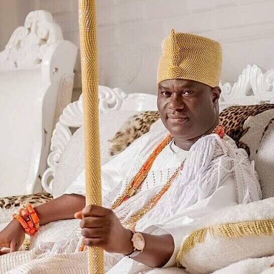 Expertise d’Alpha Sola : harmonisation sentimentale